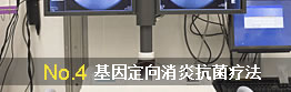 生殖感染