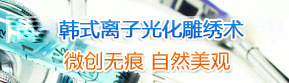 韩式离子光化雕绣术