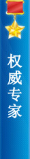 权威专家