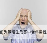 前列腺专题2